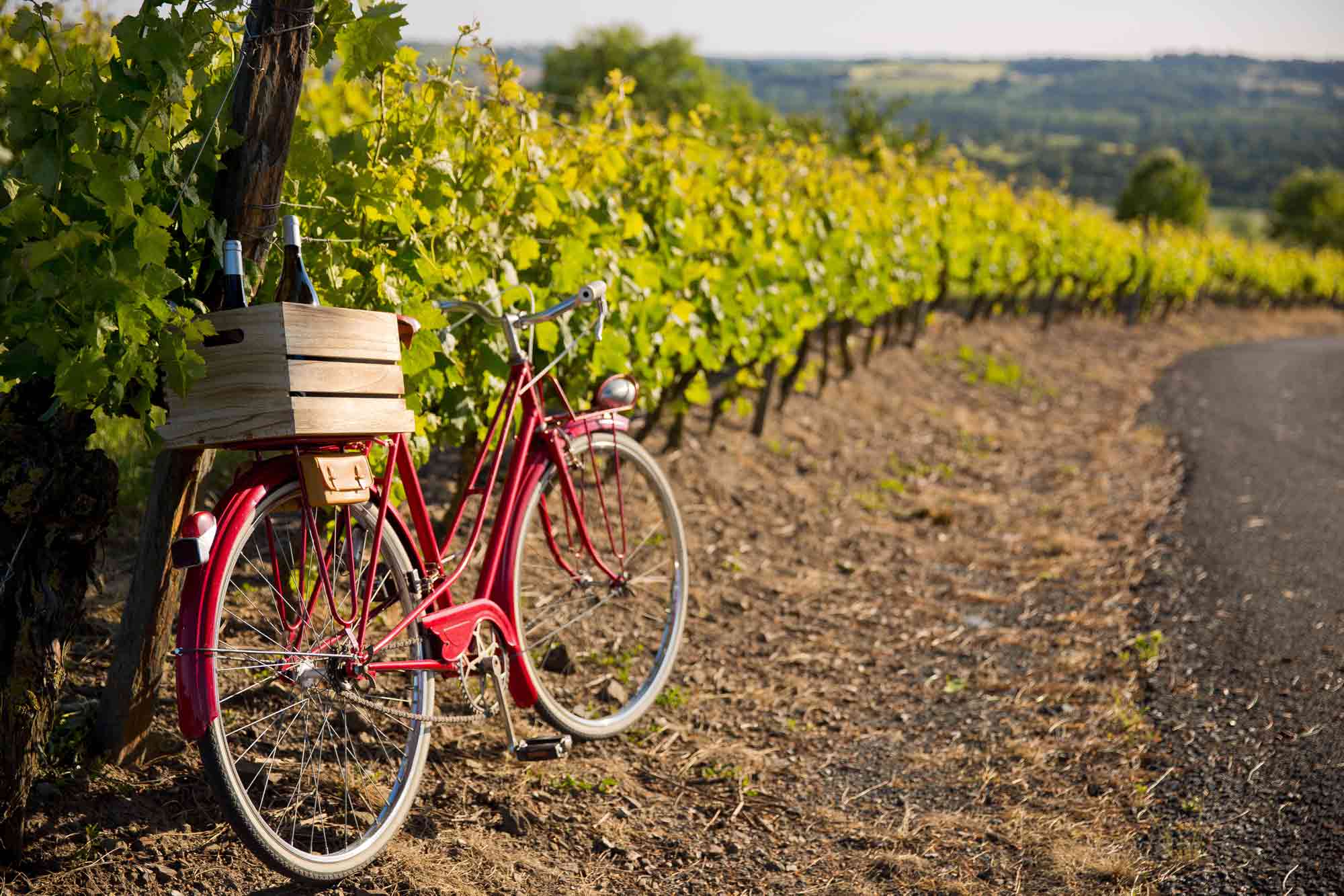 acheter ferme vignoble bordeaux