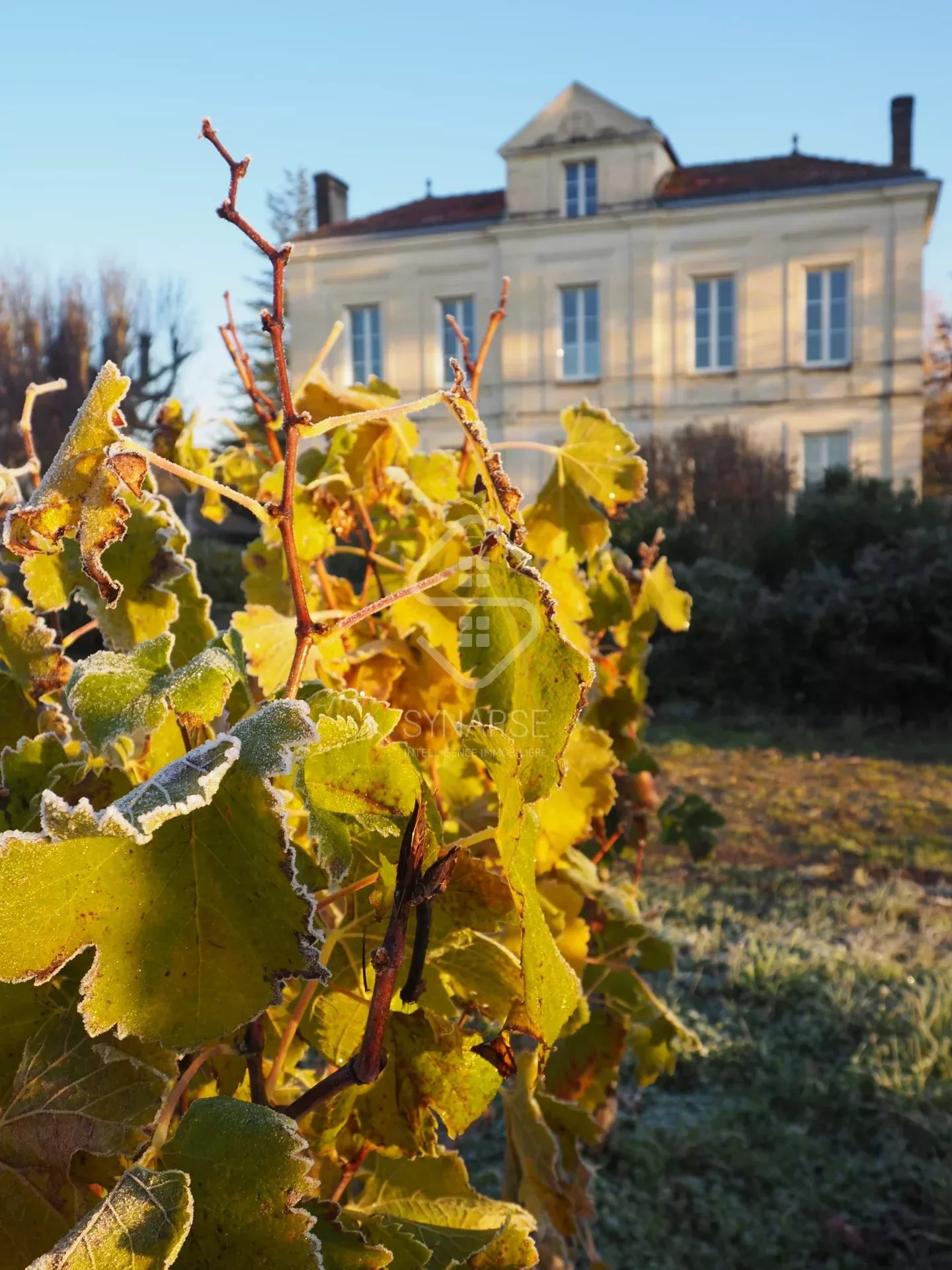 A vendre double propriété au cœur des vignes à 40 minutes de Bordeaux