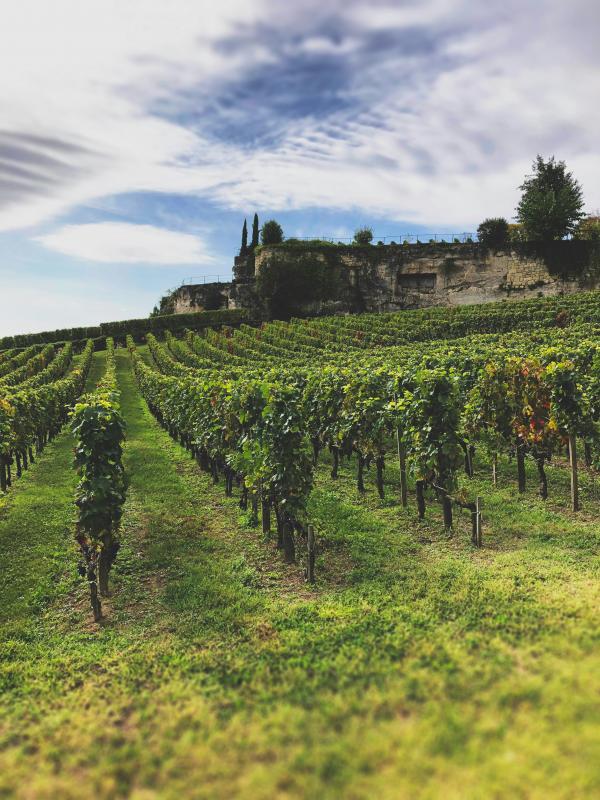 Magnifique maison bourgeoise à – de 3 km du coeur de Saint-Emilion